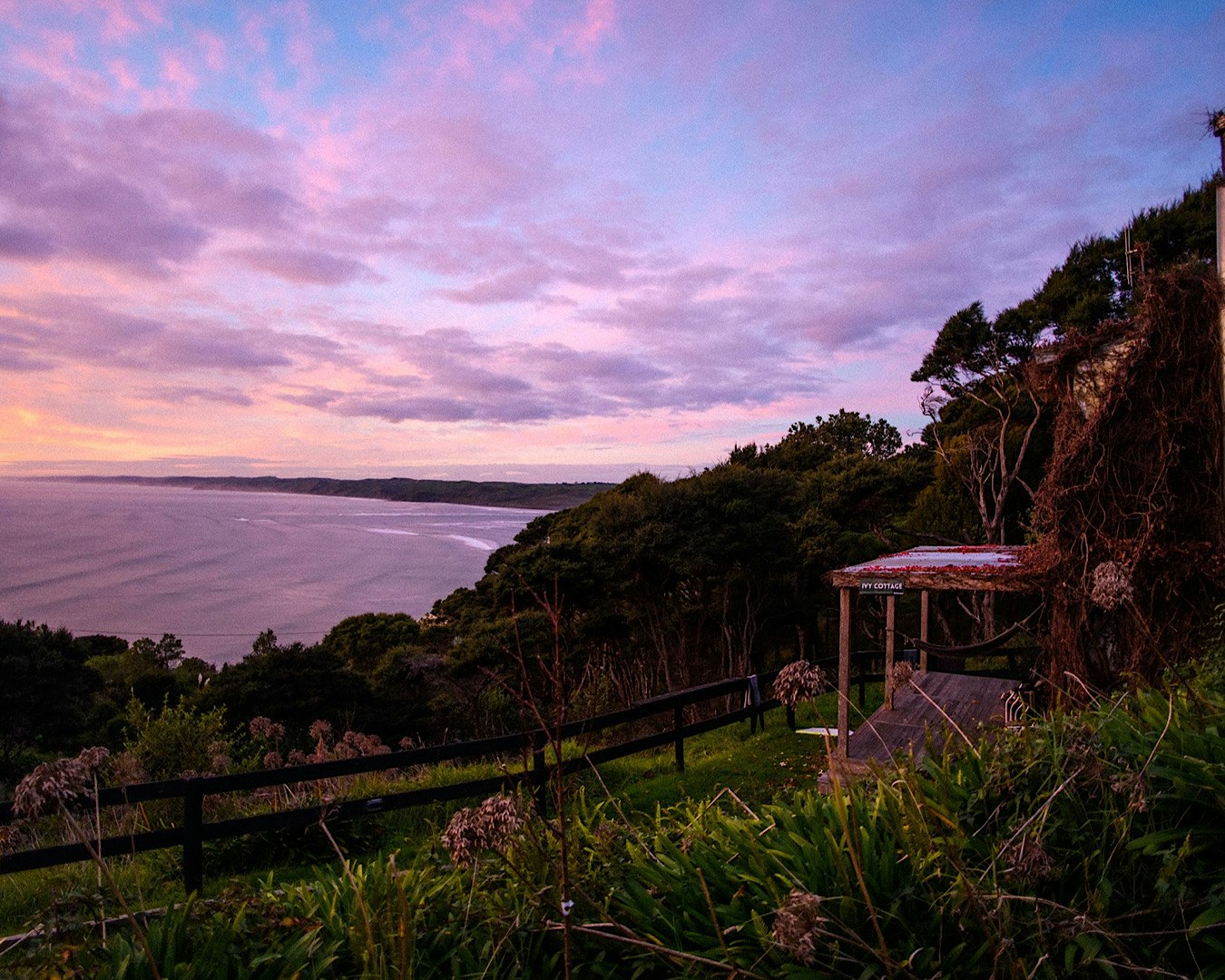 An incredible purple sunset from Solscape, one of the best camping spots in Raglan.